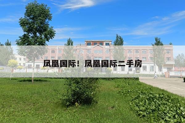 凤凰国际!凤凰国际二手房