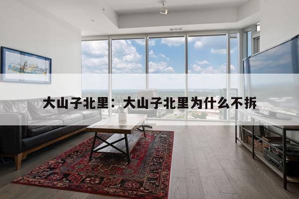 大山子北里：大山子北里为什么不拆