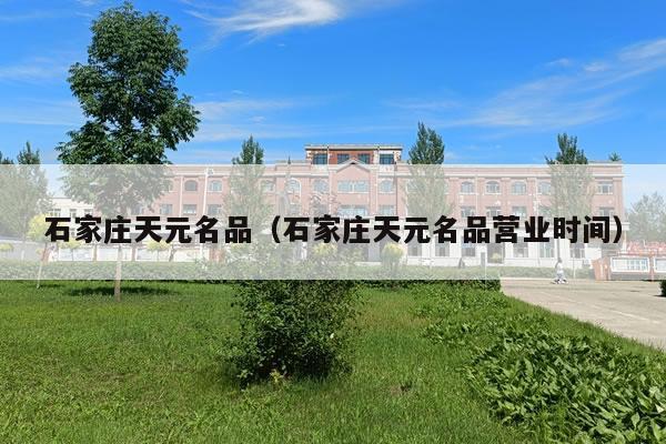 石家庄天元名品（石家庄天元名品营业时间）