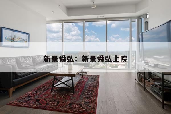 新景舜弘：新景舜弘上院