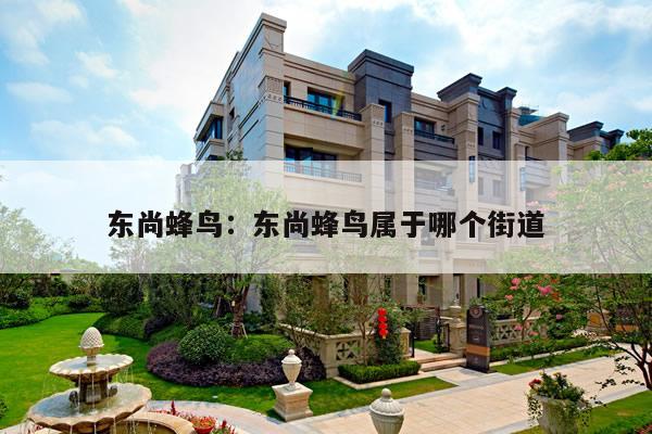 东尚蜂鸟：东尚蜂鸟属于哪个街道