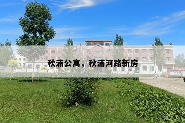 秋浦公寓，秋浦河路新房